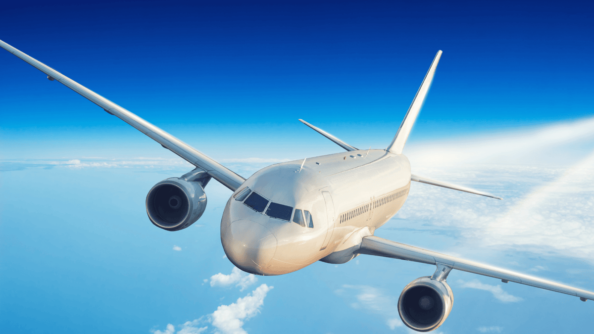 Butt Pillow for Plane: Protect Your BBL While Flying – Bombshell Booty ...